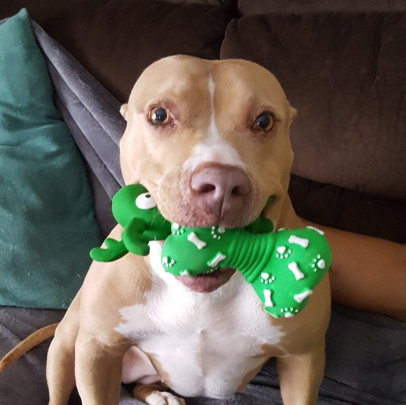 Hey there! My name is Sara. - Picture 1 of 4